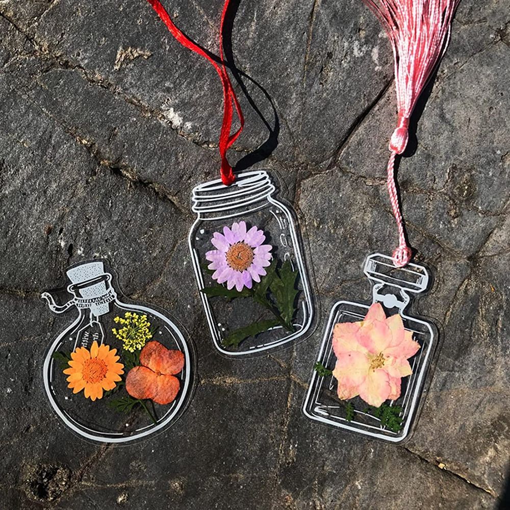 30Pcs Handmade DIY Transparent - Dried Flower Bookmark ulasan dan harga