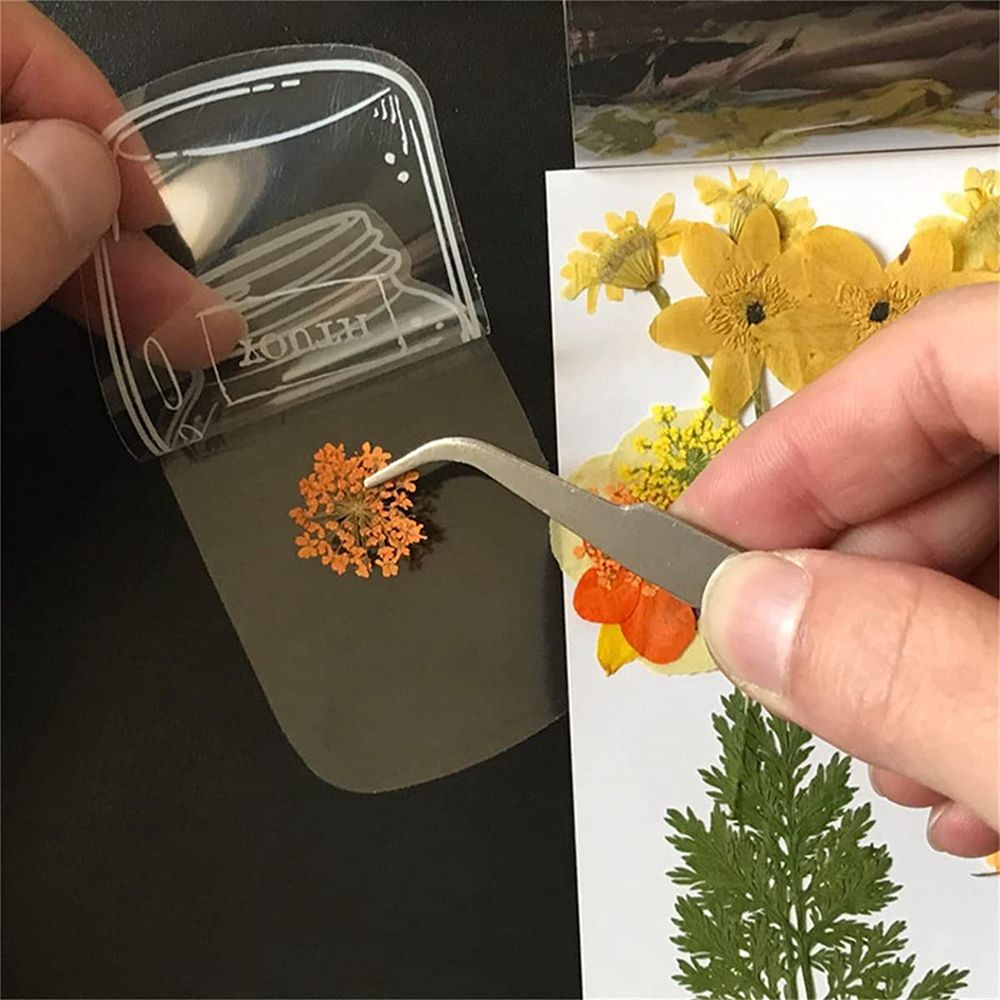 30Pcs Handmade DIY Transparent - Dried Flower Bookmark ulasan dan harga