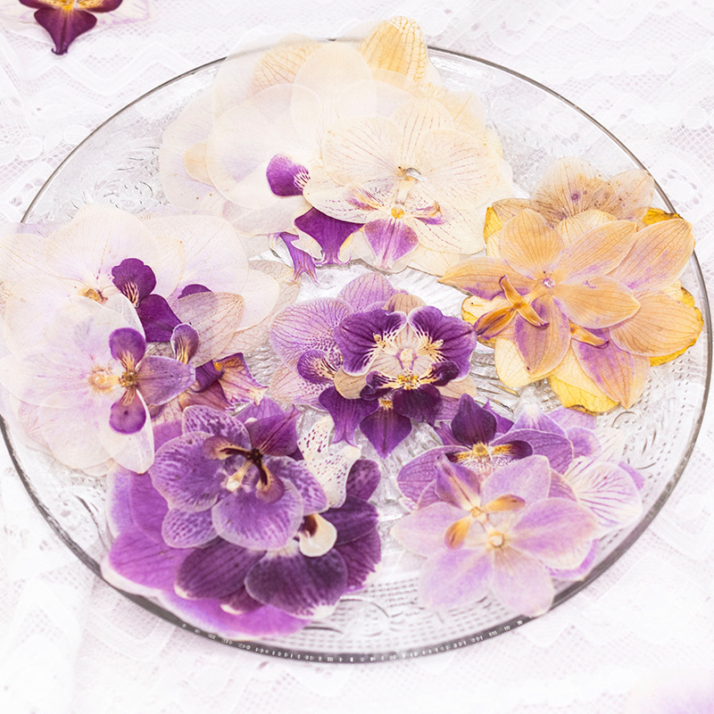 4 Pcs Pressed Dried Phalaenops - Dried Flower Bookmark ulasan dan harga