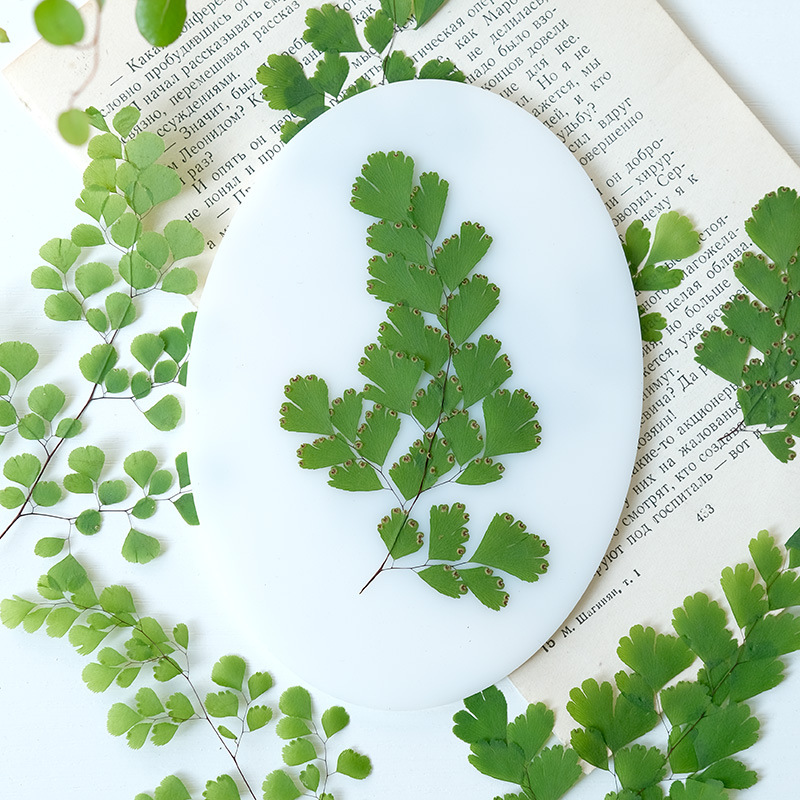 60Pcs Natural Plant Real Flowe - Dried Flower Bookmark ulasan dan harga